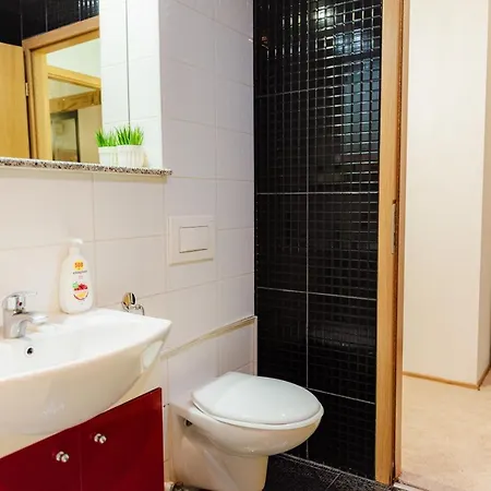 Luxury Penthouse With 5 Bedrooms 10 Min To Old Town Unirii Square *