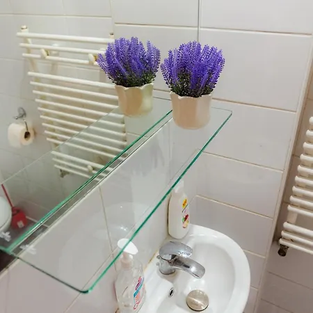 Daire Luxury Penthouse With 5 Bedrooms 10 Min To Old Town Unirii Square *